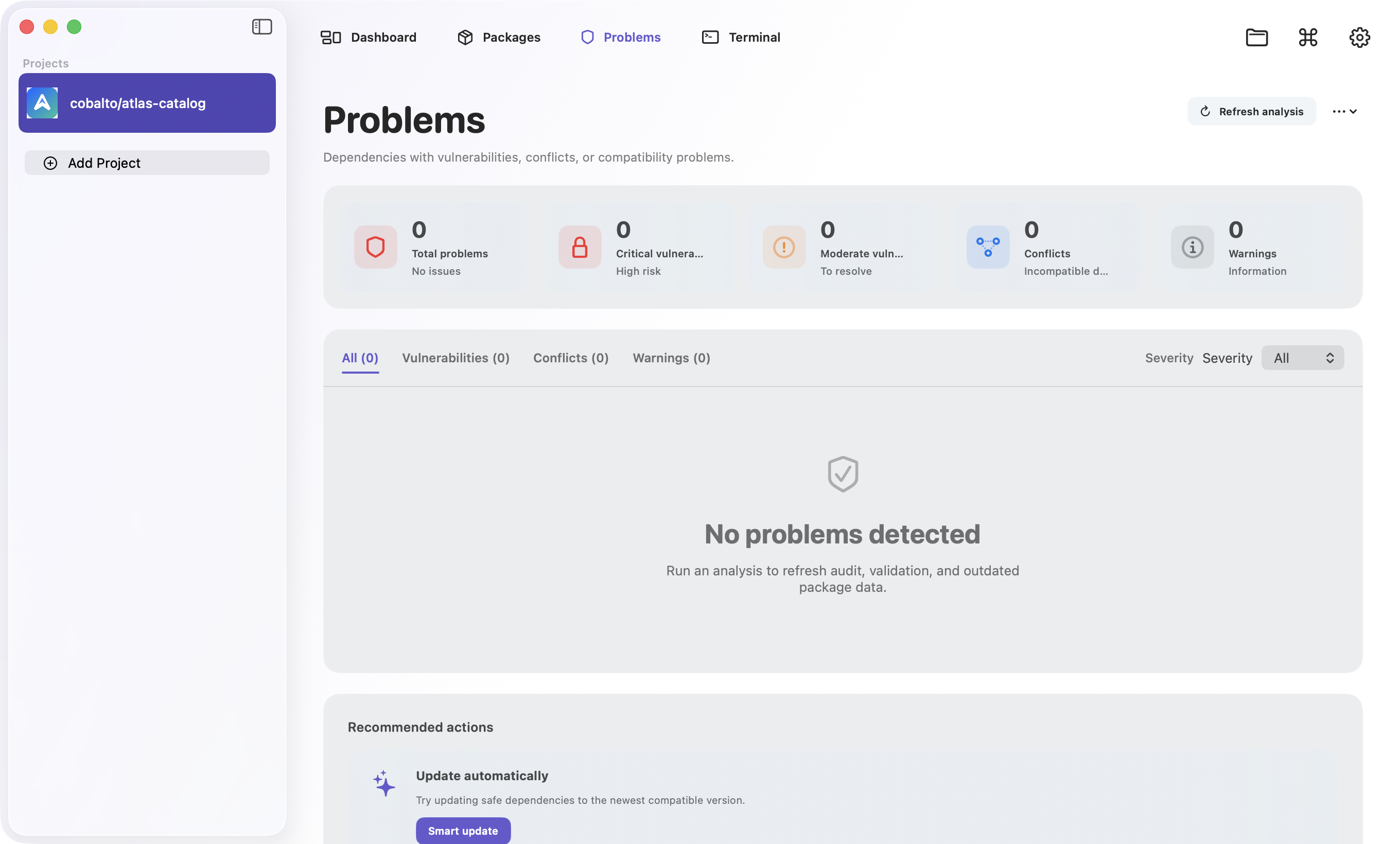 ComposerGlass Problems view with audit, compatibility, and outdated-package results